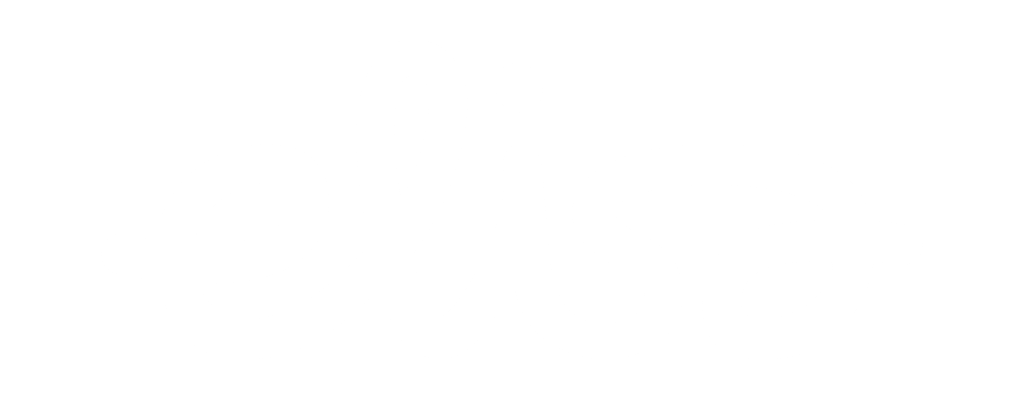 Elisan valkoinen logo